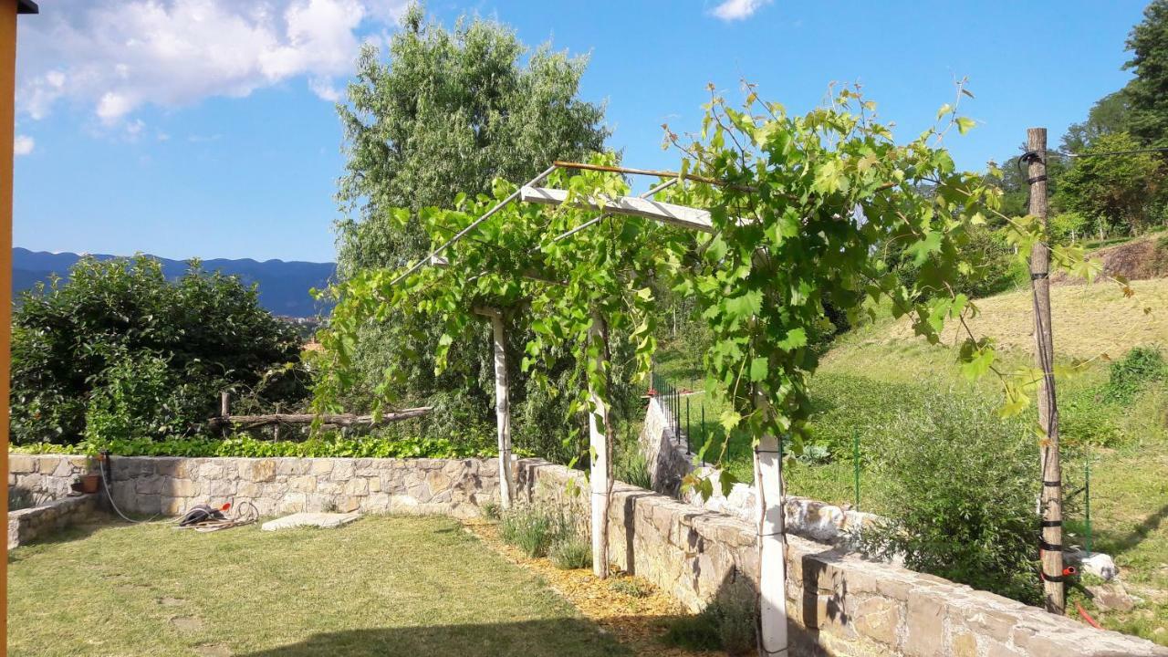 Pocitniska Hisa Guest House Dobravlje Exterior photo