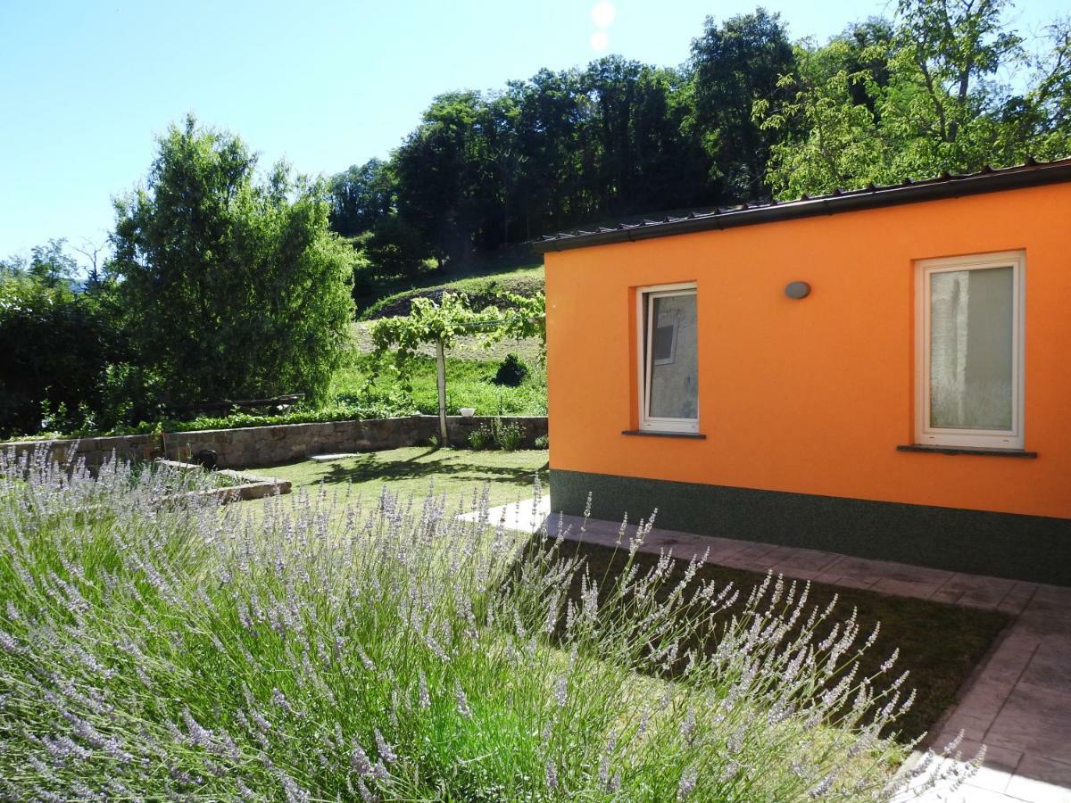 Pocitniska Hisa Guest House Dobravlje Exterior photo